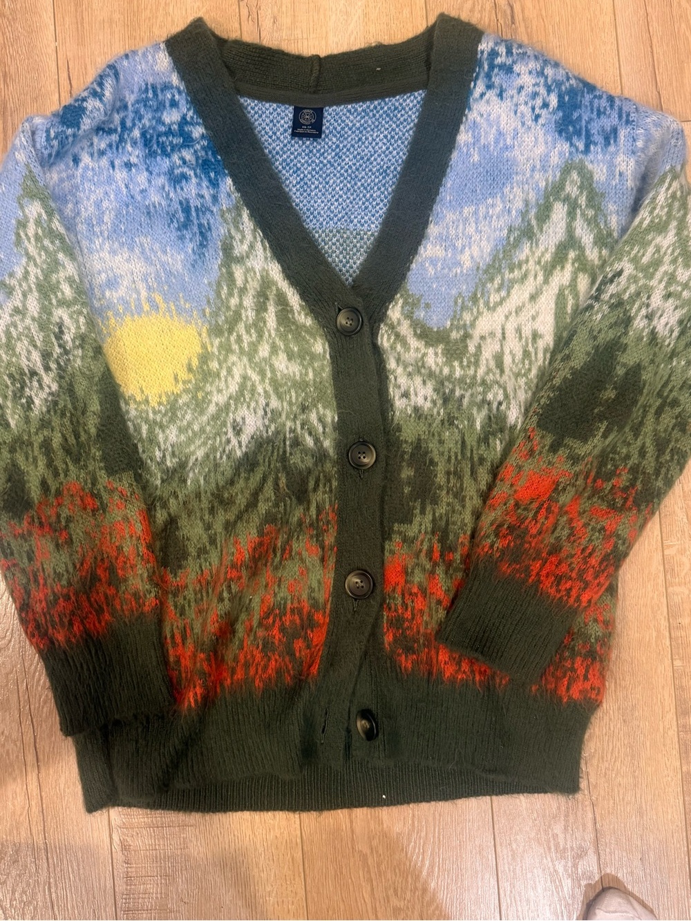 Urban Outfitters Multicolor Scenic V‑Neck Button Cardigan